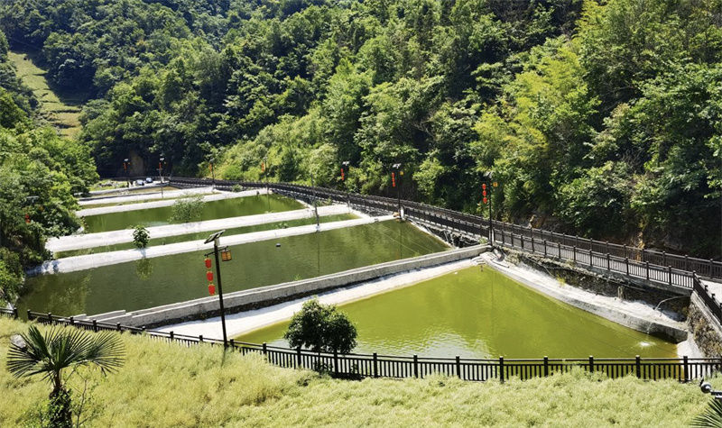 陜西省白河縣：好山好水養(yǎng)好魚